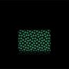 Tiny Skull Glow-in-the-Dark Pouch (Small)