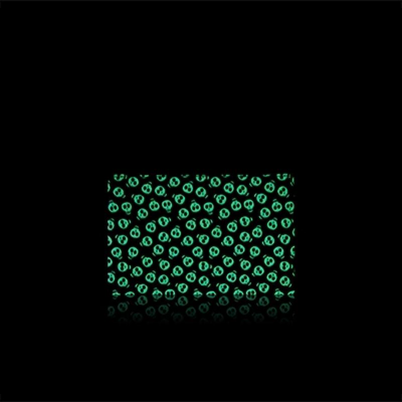 Tiny Skull Glow-in-the-Dark Pouch (Small)