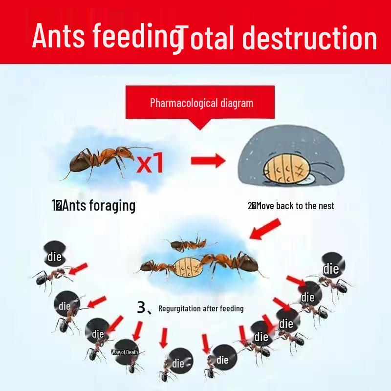 Ungiftiger Kakerlakenbekämpfer für Zuhause - Beseitigt das gesamte Nest - Sicher für Schlafzimmer & Küche - Einweg & Stark.