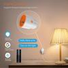 Graffiti Smart 16A ZigBee/WiFi Európska zásuvka s meraním