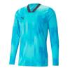 Puma Mens Teamtarget Long-Sleeved Goalkeeper Jersey