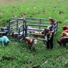 Oenux Home Decoration Equestrian Fencing Palm Trees Simulation Farm Cow Horse Animal Model Action Figures Miniature Cute Kid Toy