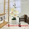 Phalaenopsis Artificial Potted Plant Silk Fabric Material Props Photography