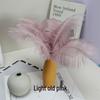 White Ostrich Feathers 15-80cm for Lighting, Wedding Aisle Decor, Photo Props, and Vase Ornaments