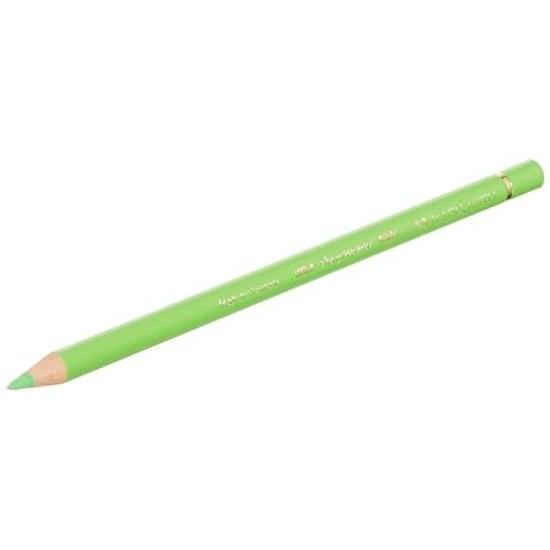 Faber-Castell Polychromos Colored Pencils 12 Colors Tin 110012 Japan Genuine Product