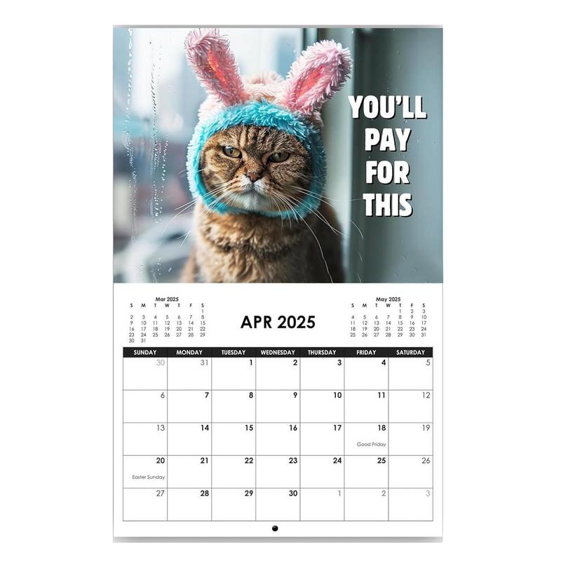 2025 Cat Planner Calendar Creative Angry Cat Calendar Decorative Art Calendar Creative Cat Calendar Art Calendar for Home