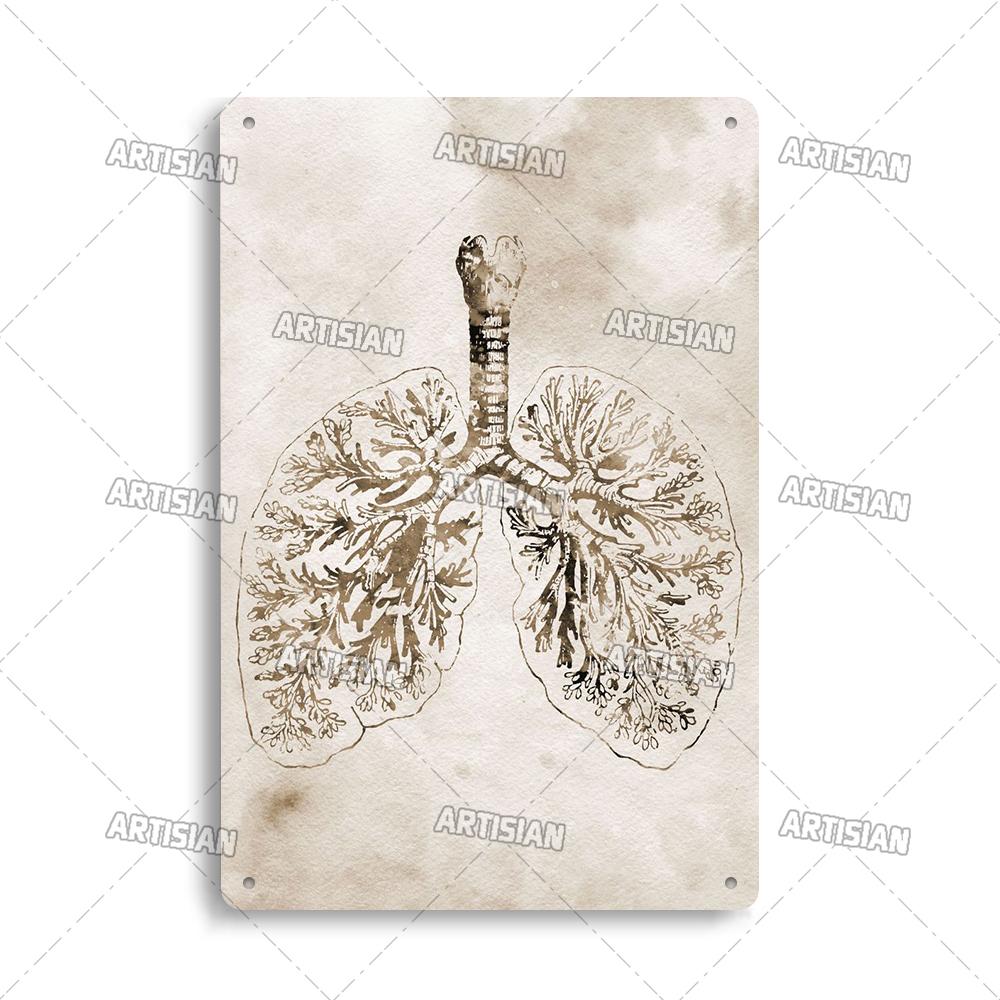 Placca Metallica Artigianale Clinica Dentista Cartello in Latta Anatomia Piatto Decorativo Medico Ospedale Chirurgia Dente Organo Ossa Nervo Cervello