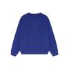 Sweatshirts Men's Blue Crew Neck Moderate 626990-XJDNK-4120