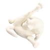 Cat Statue Funny Resin Cat Licking Butt Figurine Ornament Cute Cartoon Animal Sculpture Home Desktop Craft