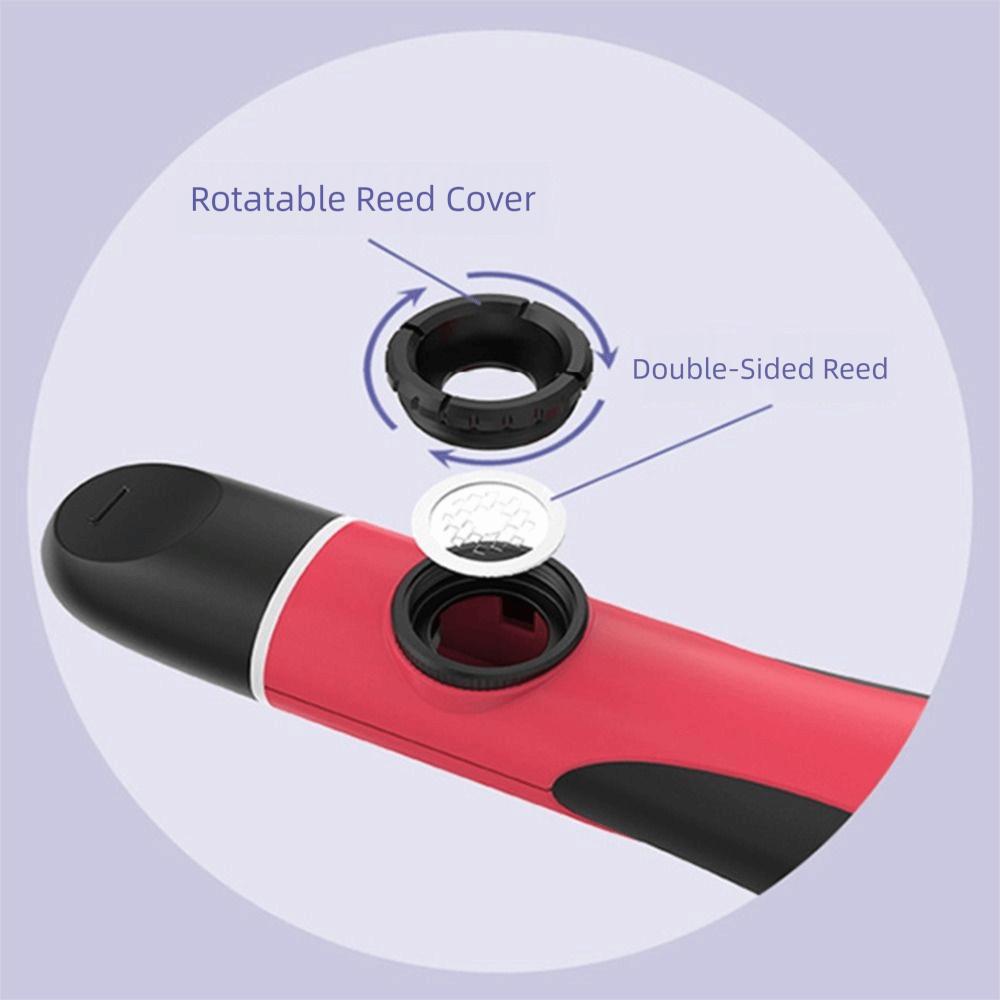 Professional Double Hole Kazoo Creative Wind Instrument Kazoo Instrument  Music Gift