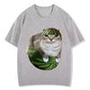 2026 Watermelon Cat Silly Cat Funny Meme T Shirts Unisexs Unisex Clothing Casual Pure Cotton Tshirt Fashion