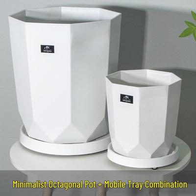 Vaso da Fiori Grande in Plastica Stile Nordico per Albero dei Soldi o Palma