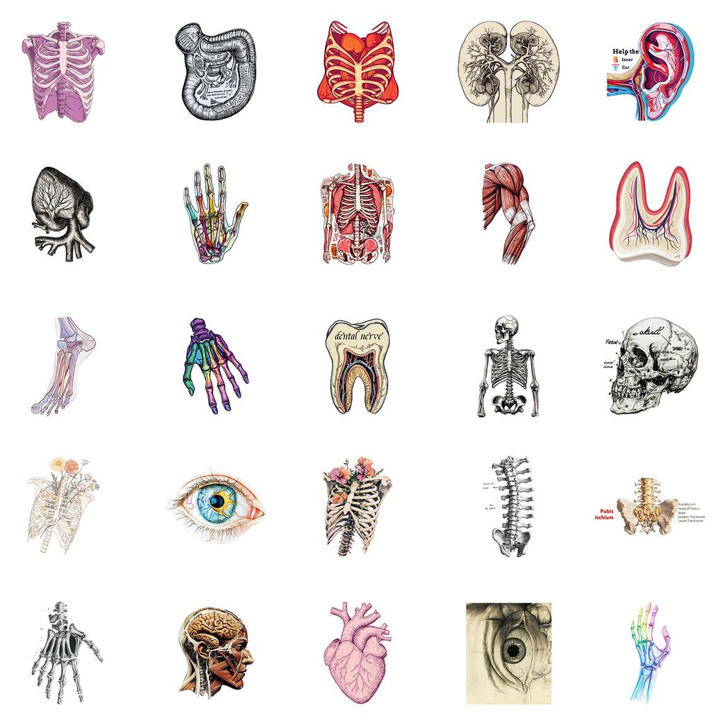 - Stickers, Suitcase Stickers, Skateboard Stickers