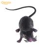 1 Stück Kunststoff Ratten Maus Modell Figuren Spielzeug