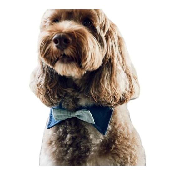 [Rope Picnic Passage] comif x ROPE  PICNIC [DOG] Bow tie with collar Saxophone (48) L