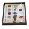 Rock Stone Colletction Kit for Kids Exquisite Science Classroom Rocks and Minerals Collection Minerals Educational