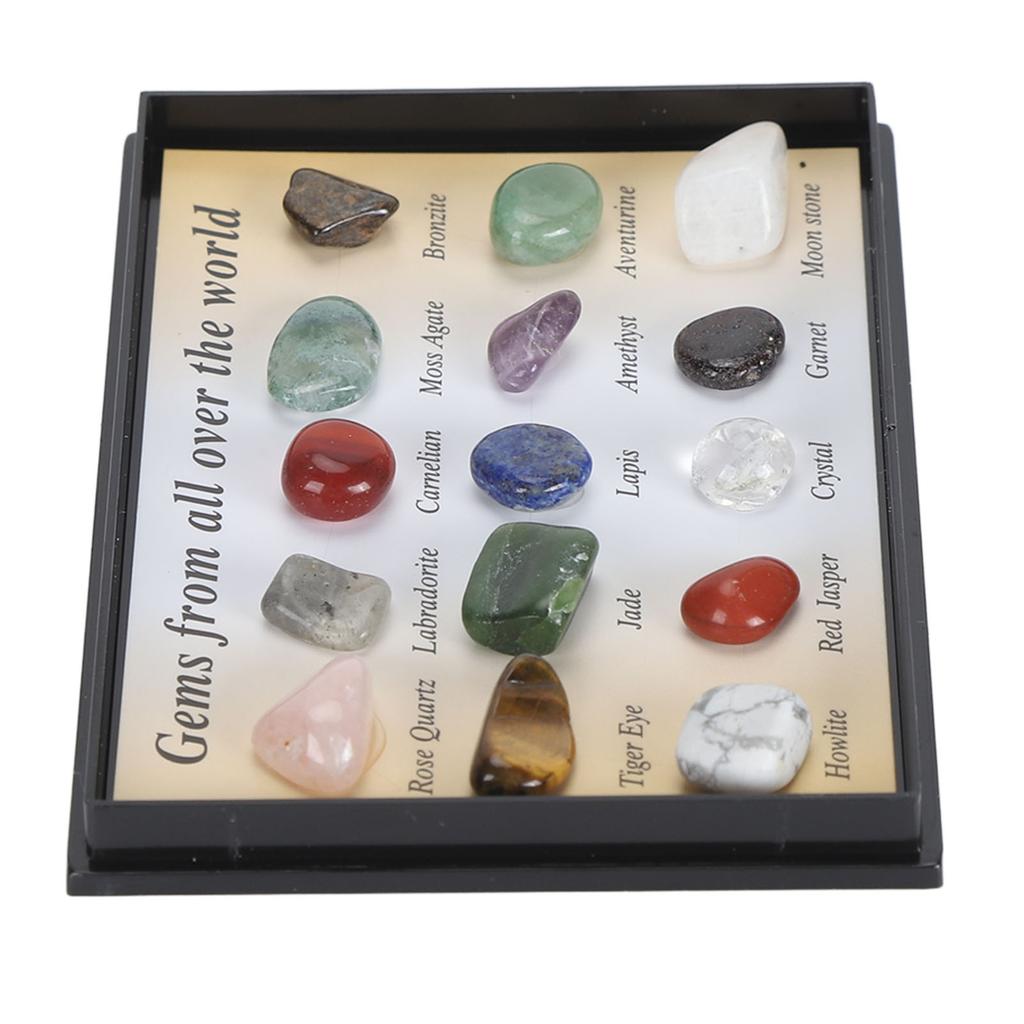 Rock Stone Colletction Kit for Kids Exquisite Science Classroom Rocks and Minerals Collection Minerals Educational