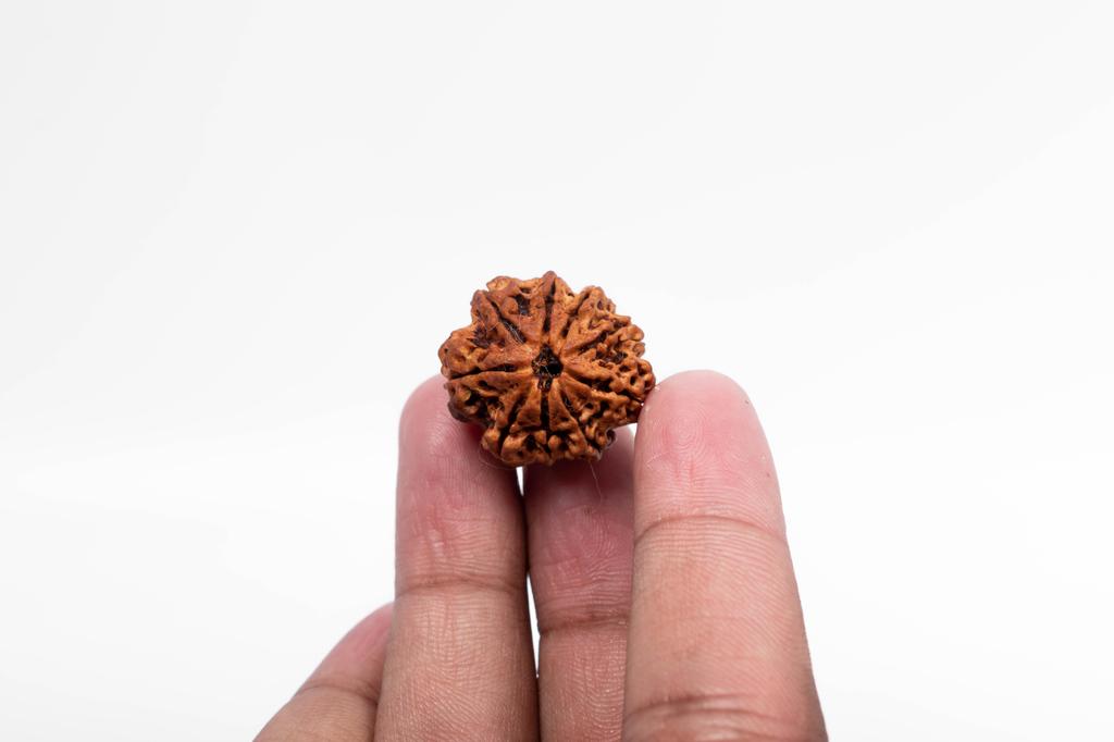 Natural 9 Mukhi Rudraksha Bead – Nepali Origin | Powerful Bead for Durga Blessings, Fear Removal, Vitality & Energy Shield | Organic & Lab Certified