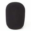 GONKISS Microphone Sponge Cover, Large, Microphone Windscreen for Condenser Microphones Such As the AT2035, Black