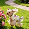 Kleiner Hund Teddy Pullover Malteser Frucht-Print Kleidung Haustier Niedlich Kirsch-Print Winter Warme Kleidung Niedlich Prinzessin Haustier Hund Katze Pullover