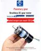 36mm 3626 Planetary Gear Brushless DC Motor 12V/24V
