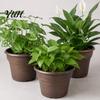 Drainage Pots for Succulents Retro Flower Pot with Saucer, Bronze Finish Plant Holes, Distressed Planters Breathable Thickened Plastic Planter Indoor