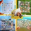 1PC New Creative Acrylic Transparent Shell Storage Box Seaside Stone Small Shell Collection Magnetic Storage Display Box