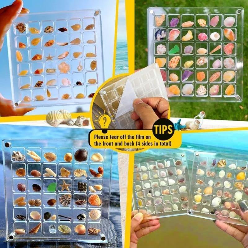 1PC New Creative Acrylic Transparent Shell Storage Box Seaside Stone Small Shell Collection Magnetic Storage Display Box