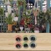 Effortless Plant Care with Lightweight Hanging Flower Pots Perfect for Adding Aesthetic Appeal To Your Home or Garden