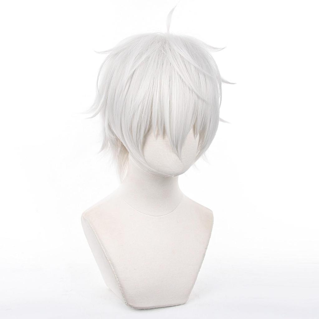 Cosplay Blue Seishiro Suitable for Anime Cosplay School and Photo Shoots Wig Wig, Locks, Nagi, Heat-Resistant, Parties, Events, Halloween, (Includes