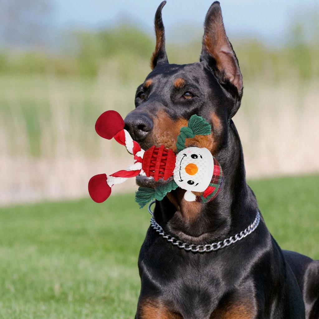 Christmas Plush Pet Toys, Dog Chew Toss Game, Games, Interactive Toys for Pets,