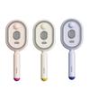 Electric Spray Air Cushion Massage Comb, Rechargeable Steam Hair Brush with Water Mist, Self-Cleaning Anti-Tangle Anti-Frizz Hair Brush for Men Women