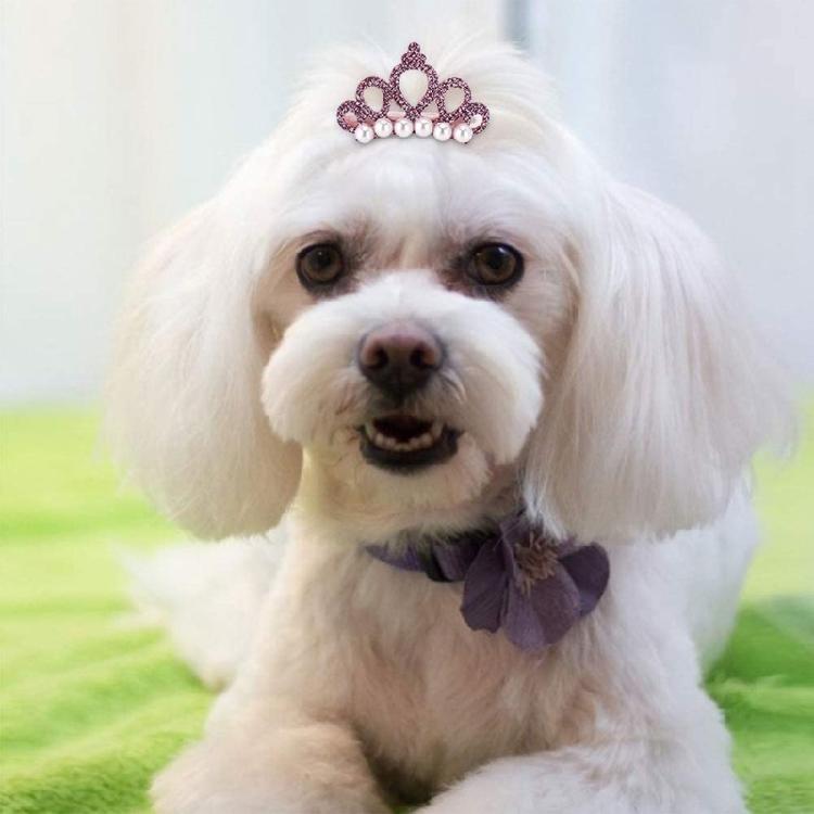 Glittering Crown Hair Clip for Small Pet Photography Daily Hair Styling Tool for Breeds Cats Everyday Wear Party Props