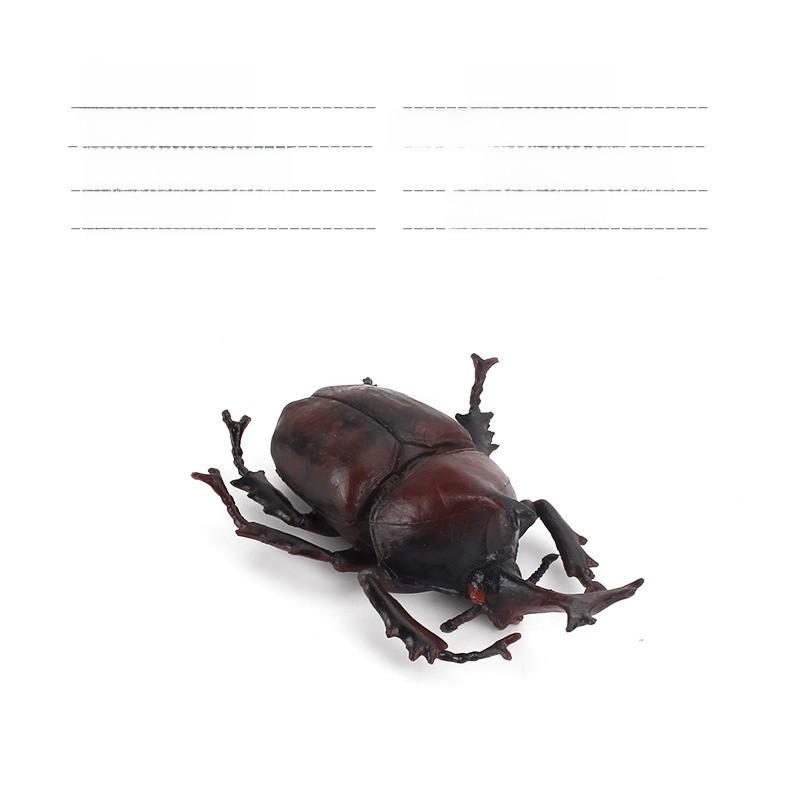 Allomyrina Dichotoma Model Pvc Realistic Display Scene For Science Education And Collectors