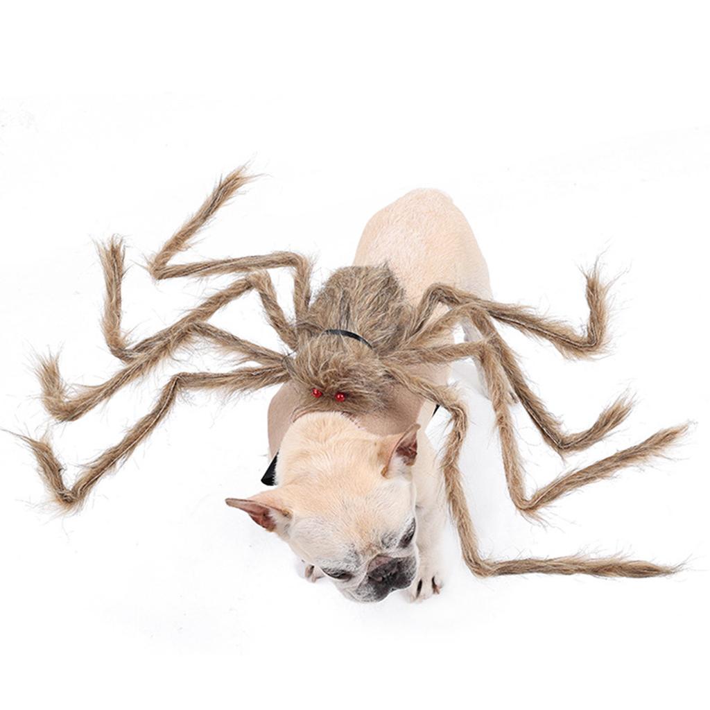 Haustier Kostüm Hut Lustige Spinnen Tier Cosplay Kleid Cosplay Zubehör Haustier Cosplay Zubehör Spinnen