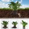 Stainless Steel Insect-Proof Net Bag Dense Mesh Bird Barrier Net  Flower Bulbs Protection