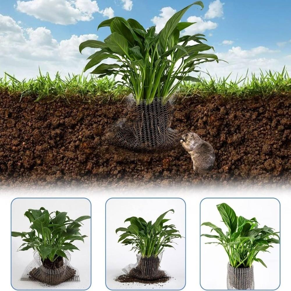 Stainless Steel Insect-Proof Net Bag Dense Mesh Bird Barrier Net  Flower Bulbs Protection