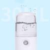 Small Spray Water Replenishing Instrument Sprayer Portable Handheld Humidifier