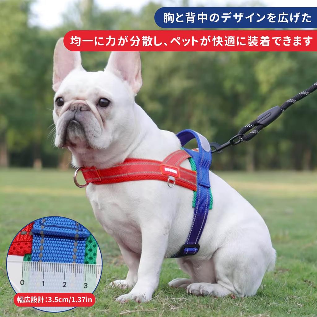 Charming Club Dog and Collar for Extra Small Dogs Walking Gentle on the Size S Suitable for Small and Cats with Reflective Strips Harness, Leash, -