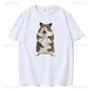 Uhhuh Piszący Chomik Damska Bawełniana Koszulka Casualowa Moda Streetwear Kreskówka Okrągły Dekolt Koszulka z Nadrukiem Kreatywne Kawaii Ubrania