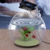 Chiller Fan For Fish Tank Fan For Aquarium Chiller With Wind Angle Adjustable Efficient Coolers For Home Seafood Market