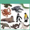 Penguins Turtles Seals Pvc Sea Animal Collection With Static Replicas For Childrens Learning And Play