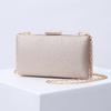 Moteriška kvadratinė rankinė prabangi dizainerio rankinė šampano spalvos piniginės vakarinė delninė retro blizganti peties crossbody rankinė vestuvių vakarėliui