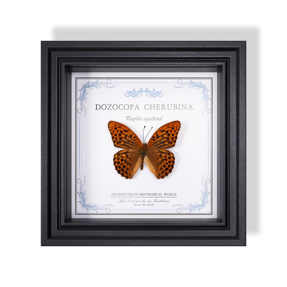 Wall-Mounted Butterfly Specimen Photo Frame: Home Decor & Gift for Valentine's Day, Qixi, Birthday, Couples & Insect Lovers