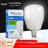 Led Işıklar – LED Ampuller ve Çubuklar