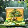 Flower Sea Tree Island Adventure Tree House with Lights: 3D Paper Art Calendar Gift and Romantic Decor Piece