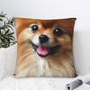 Cute Dog Animal Pillow Cover Comfy Cushion Cover Cute Funny Pillow Case For Wedding Party Home Decor