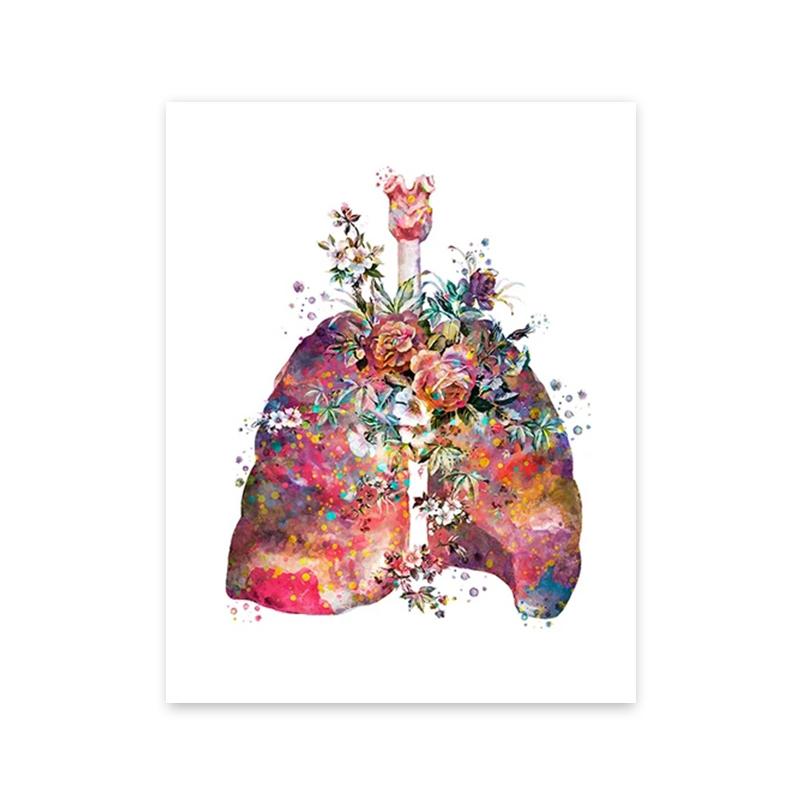 Bunte Anatomie Kunst Blume Organe Herz Lunge Poster und Drucke Medizinische Bildung Wand Kunst Leinwand Malerei Home Dekoration Geschenk