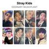 Stray Kids ODDINARY MUSICPLANT Official Photocard