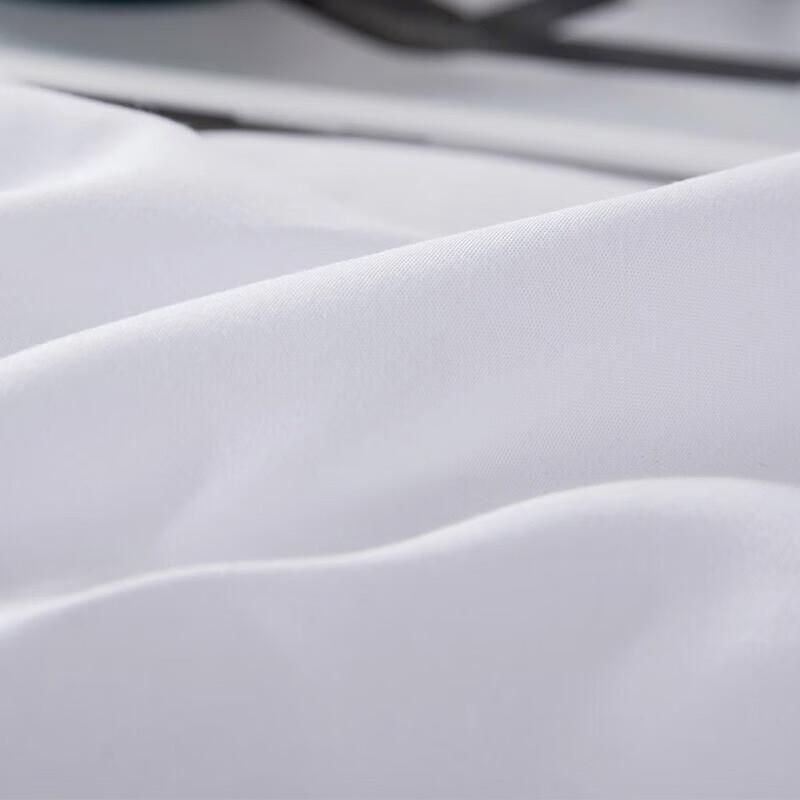 Mengjie Ruimeng Mugwort Infused Soft All-Season Quilt